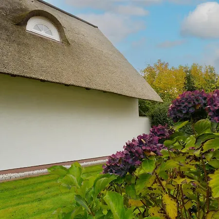 Deich Huus * Каппельн